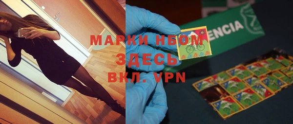 стафф Новозыбков