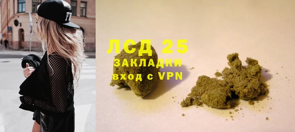 стафф Новозыбков