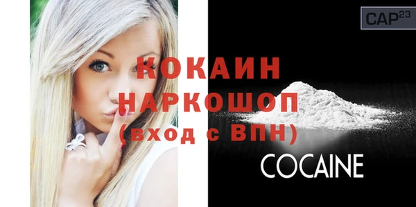 стафф Новозыбков