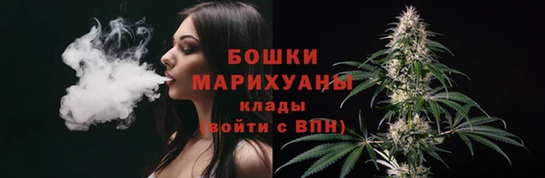 шишки Вяземский