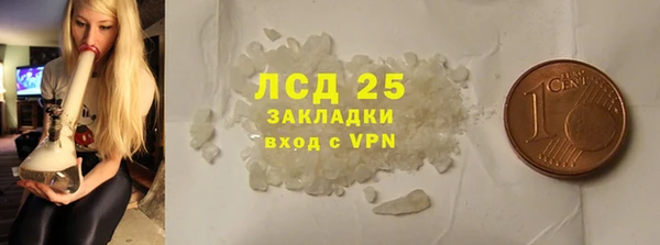 стафф Новозыбков