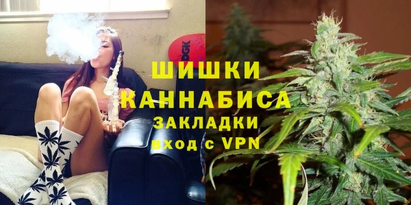 стафф Новозыбков