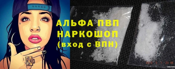 стафф Новокубанск