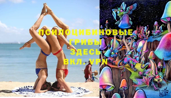 тгк Вязьма