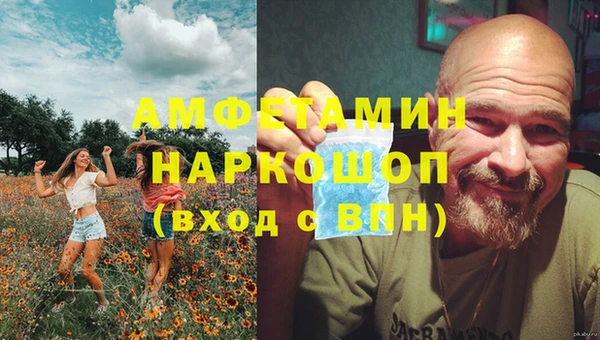 стафф Новокубанск